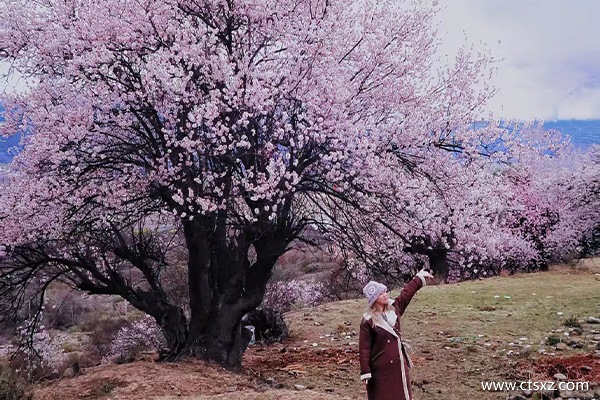 去西藏團(tuán)多少錢(qián)一天旅游