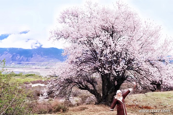 杭州去西藏七日游報(bào)團(tuán)價(jià)格
